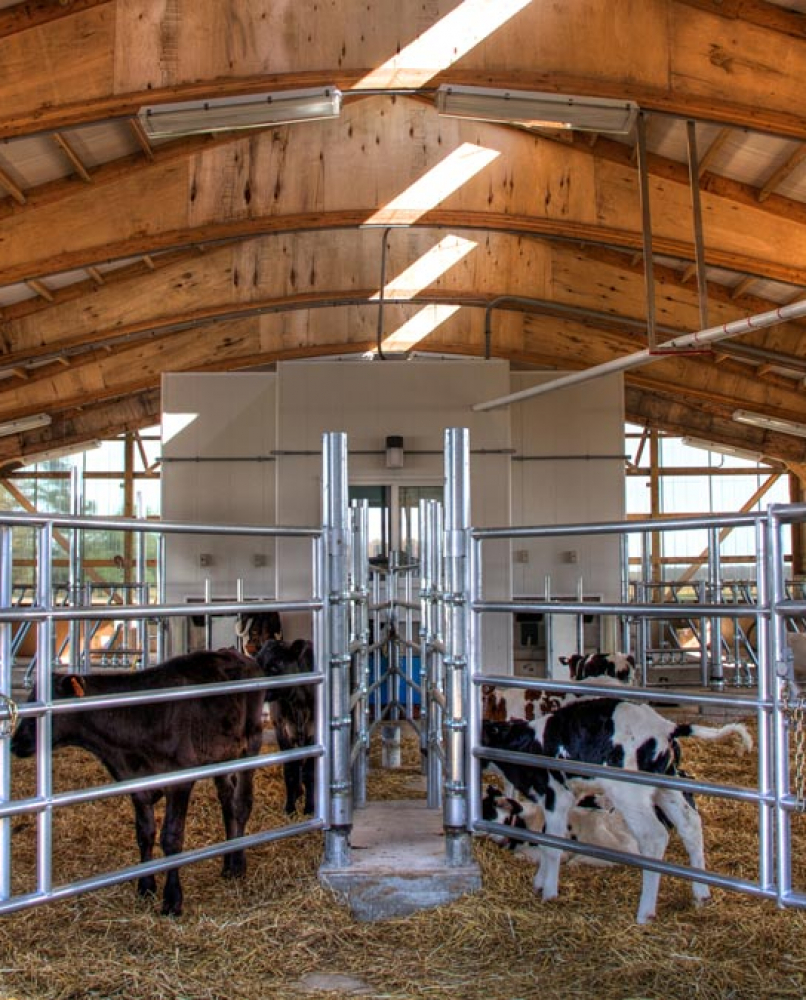 Automated Calf Feeding Facility - Marawood | Construction Services